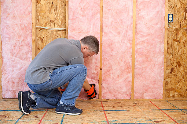 Best Geographic-Specific Insulation Services in East Syracuse, NY