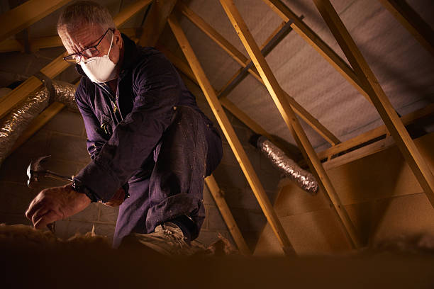 Best Eco-Friendly Insulation in East Syracuse, NY